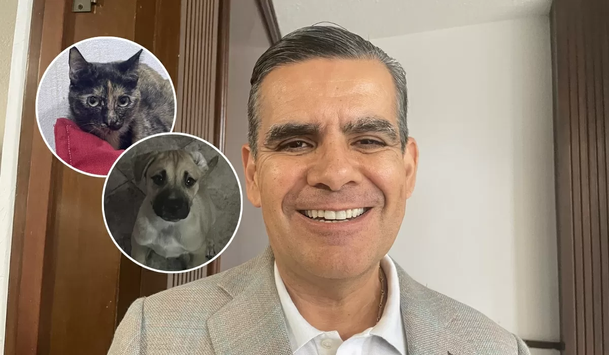 Alerta el diputado Arturo Valdés por daños a las mascotas por el usufructo de pirotecnia