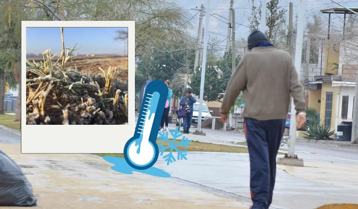 ¿Cuál es la temperatura más baja registrada en la carrera de Torreón?