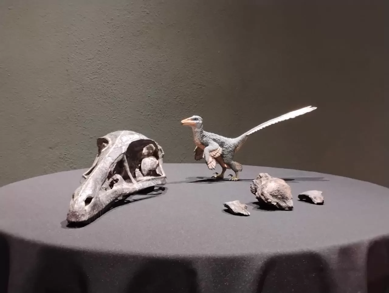 Xenovenator espinosai: El nuevo dinosaurio carnívoro campechano en Coahuila que habitó hace 74 millones de años