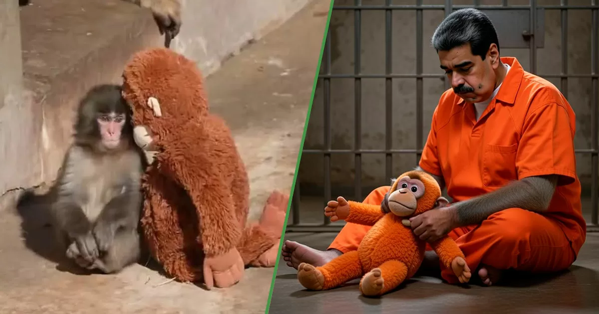 Nicolás Maduro pide que le den un changuito de peluche para no sentirse tan romanza