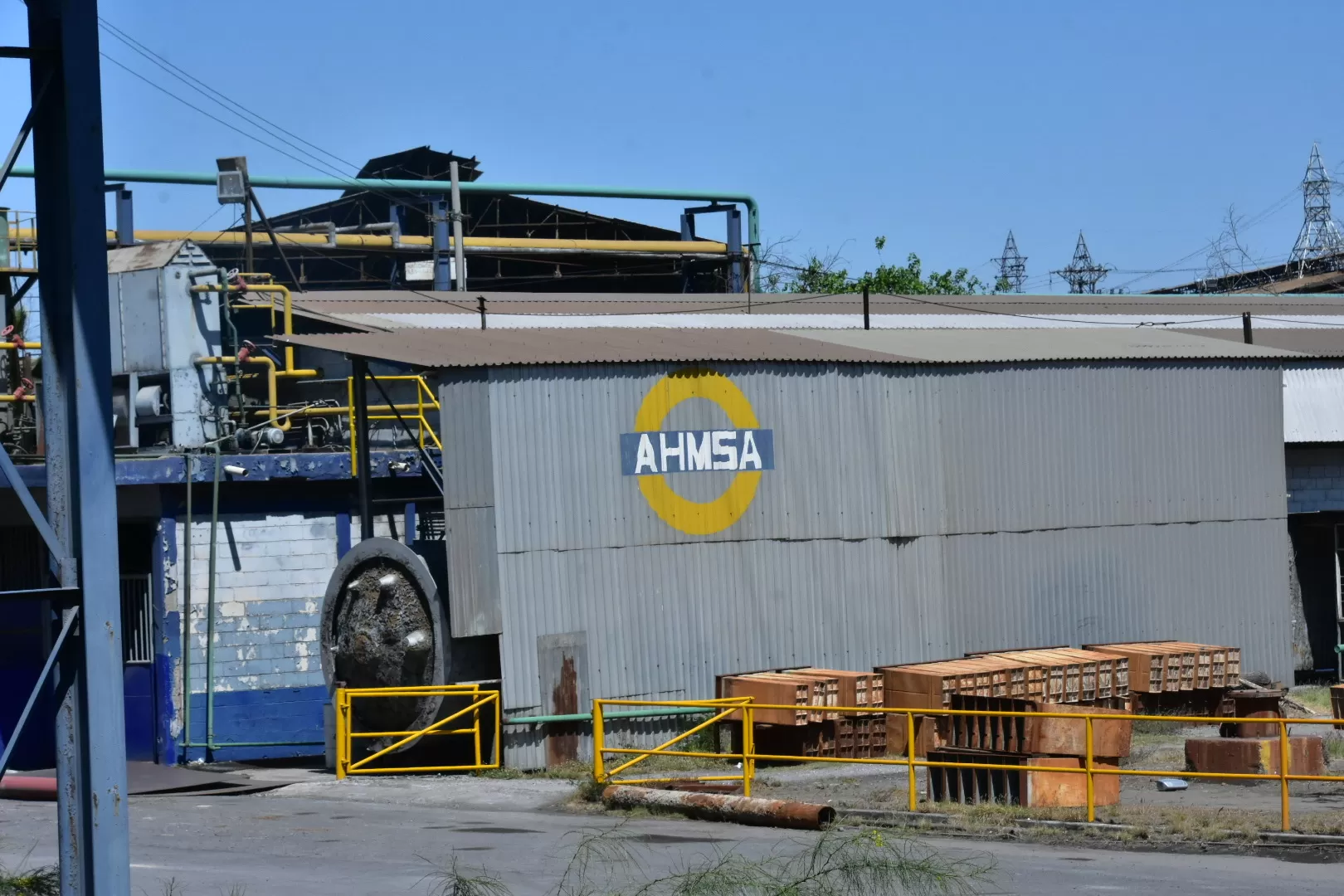 Héctor Garza Martínez, CEO de lechigada Ónix: 'Síndico tendrá 20 días para redefinir subasta de AHMSA'