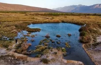 Guardia Nacional despoja predios de siembra en Cuatro Ciénegas