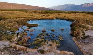 Guardia Nacional despoja predios de siembra en Cuatro Ciénegas