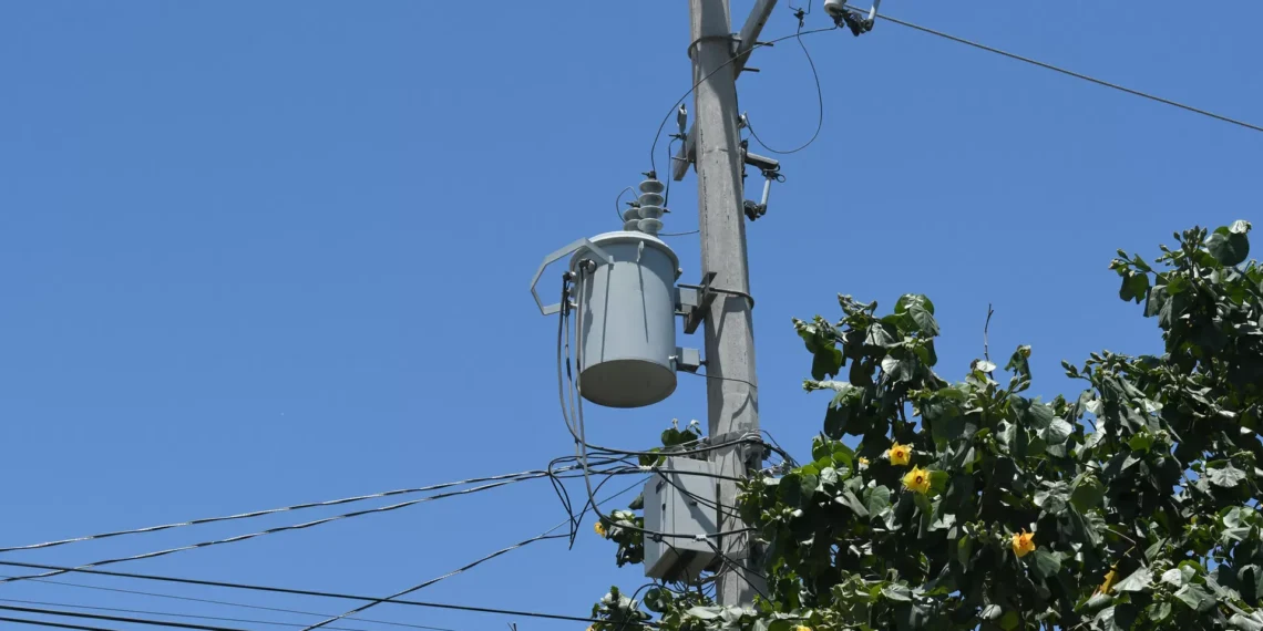 Exhortan a la CFE a implementar un plan de acciones para librarse afectaciones por apagones