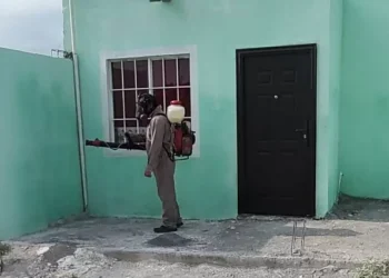 Colonia de Monclova infestada de garrapatas