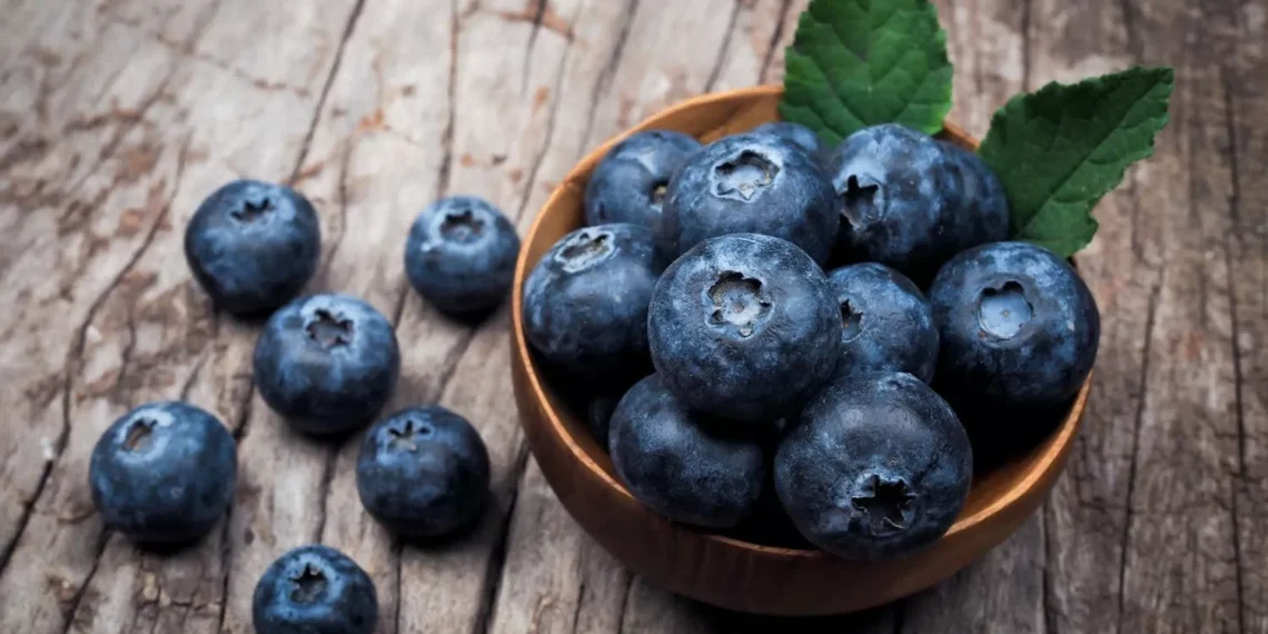 Así puedes acondicionar el jugo de arándano para prevenir las infecciones urinarias