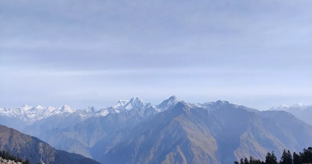 “La importancia de la felicidad en la vida diaria”