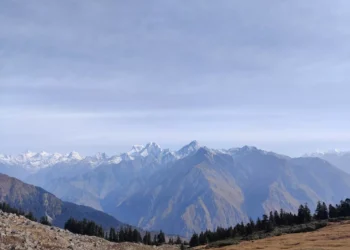 “La importancia de la felicidad en la vida diaria”