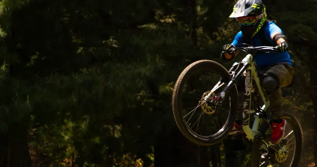 “Explorando el mundo de los niños: emociones, pasión y aprendizaje”