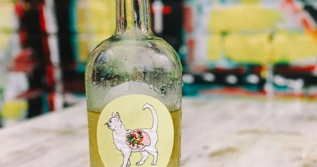 “Superación y bienestar: La inspiradora historia de “