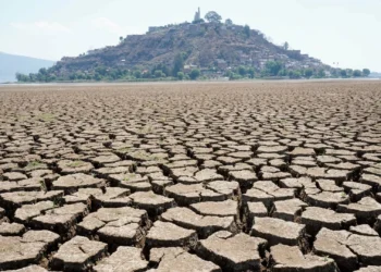 El desafío ante el cambio climático