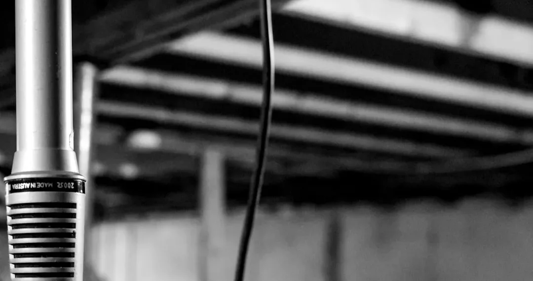 “La música: un compañero  vida inolvidable”