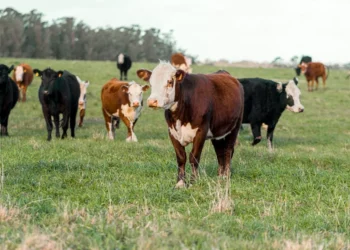 “El papel clave de la Economía en el progreso social”