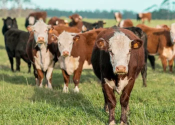 “La economía y su impacto en la sociedad actual”