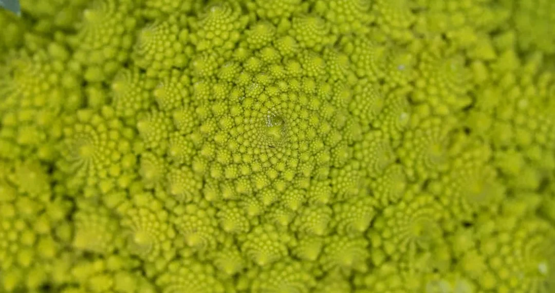 “La importancia  la autoestima en nuestra vida diaria”