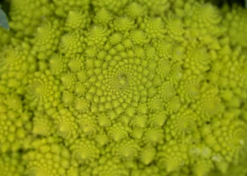 “La importancia  la autoestima en nuestra vida diaria”