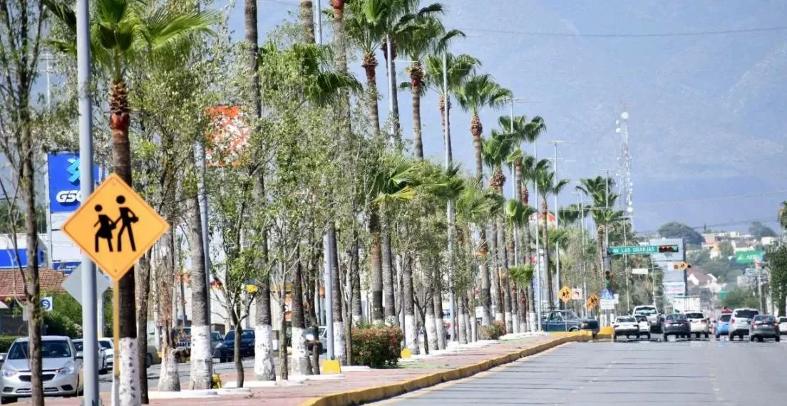 Monclova lucha contra cambio climático con arborización