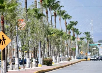 Monclova lucha contra cambio climático con arborización