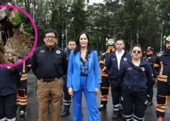 Sin acciones reales ante deslaves en AO