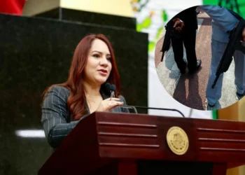 Diputada específico de Durango propone prohibición de comercialización de réplicas de armas de fuego 