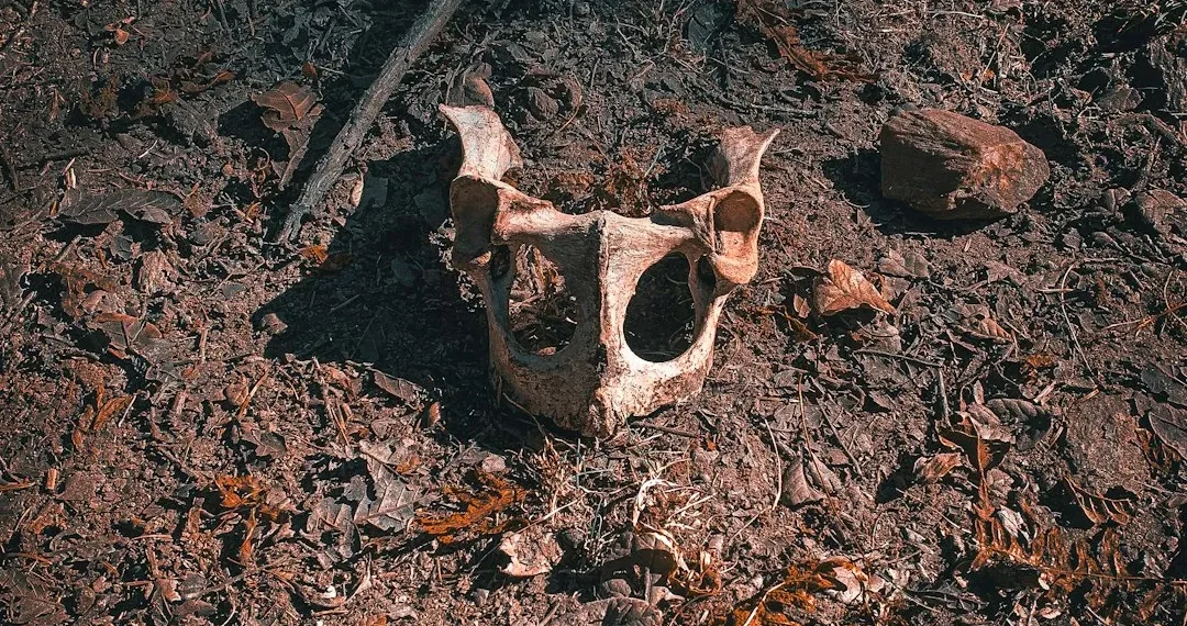 “La importancia de la felicidad en nuestra vida”