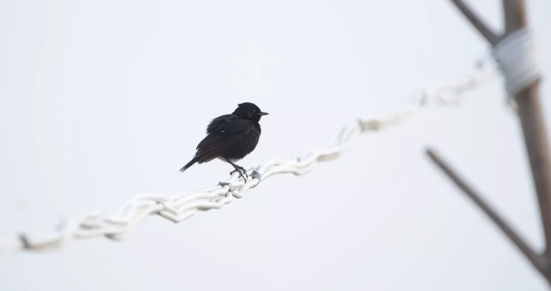 “La importancia de cuidar nuestra salud en tiempos difíciles”