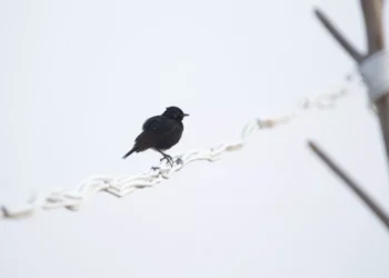 “La importancia de cuidar nuestra salud en tiempos difíciles”