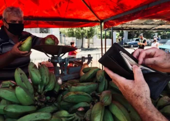 “El impacto positivo de la economía en la sociedad”