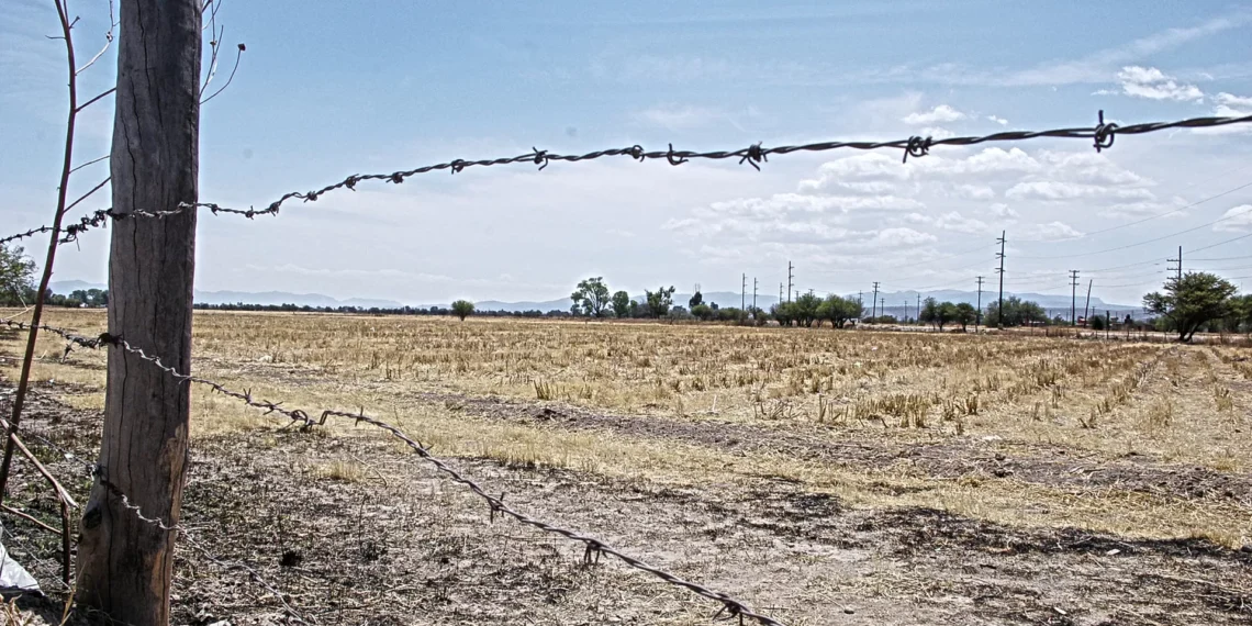 Recrudece sequía en el estado de Durango