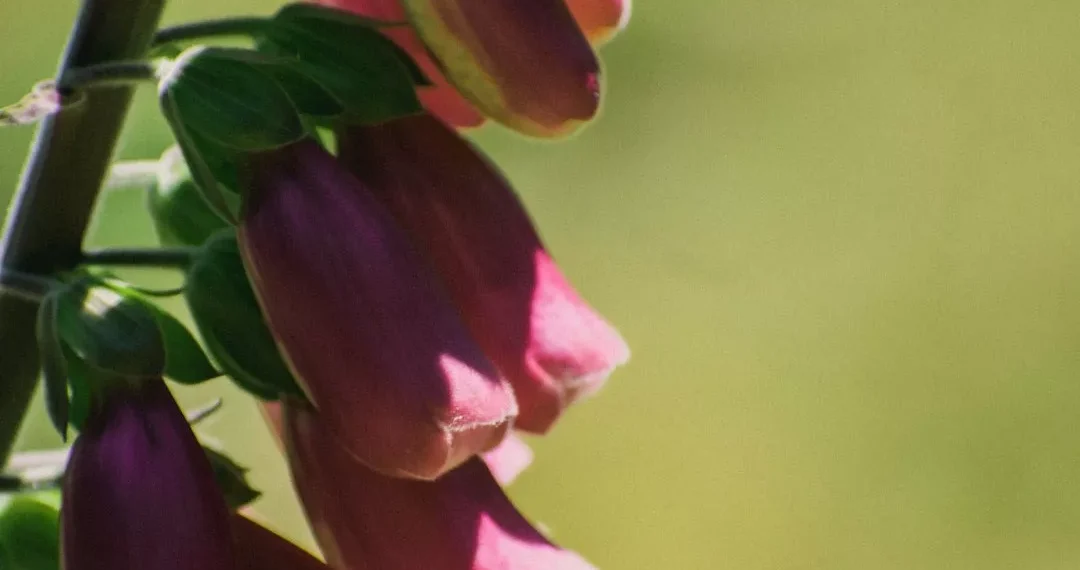 “La Importancia de la Actitud en Nuestra Vida”