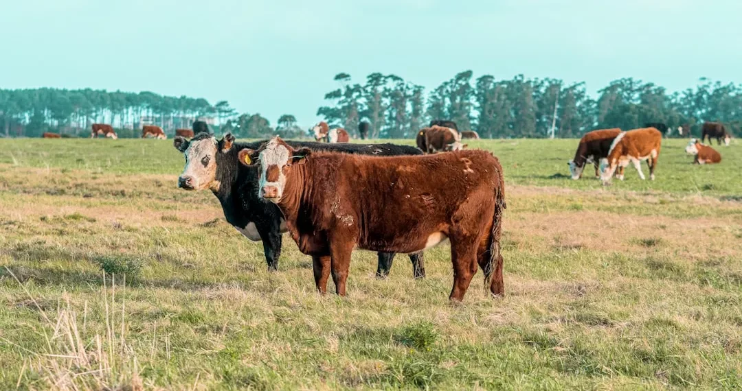 “La Economía: Motor del progreso y desarrollo social”