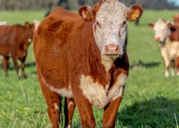 “Promoviendo una Economía próspera para el bienestar social”