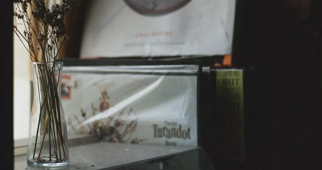 “La música: un lenguaje universal que nos une”