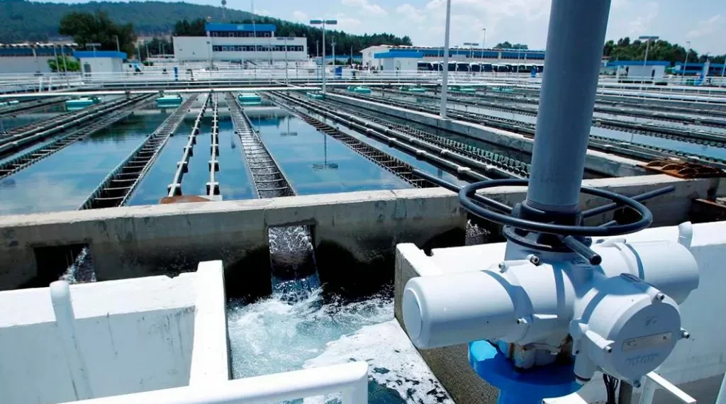 Raciel recibirá un OPDM en quiebra