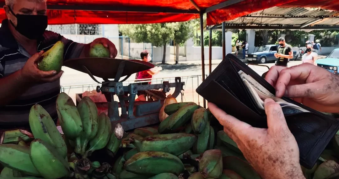 “El impacto de la economía en la sociedad”