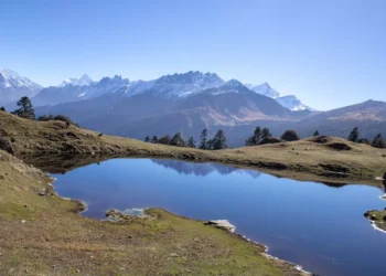 “La importancia de la felicidad en la vida diaria”