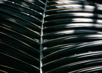 “La importancia  la autoestima en nuestra vida”