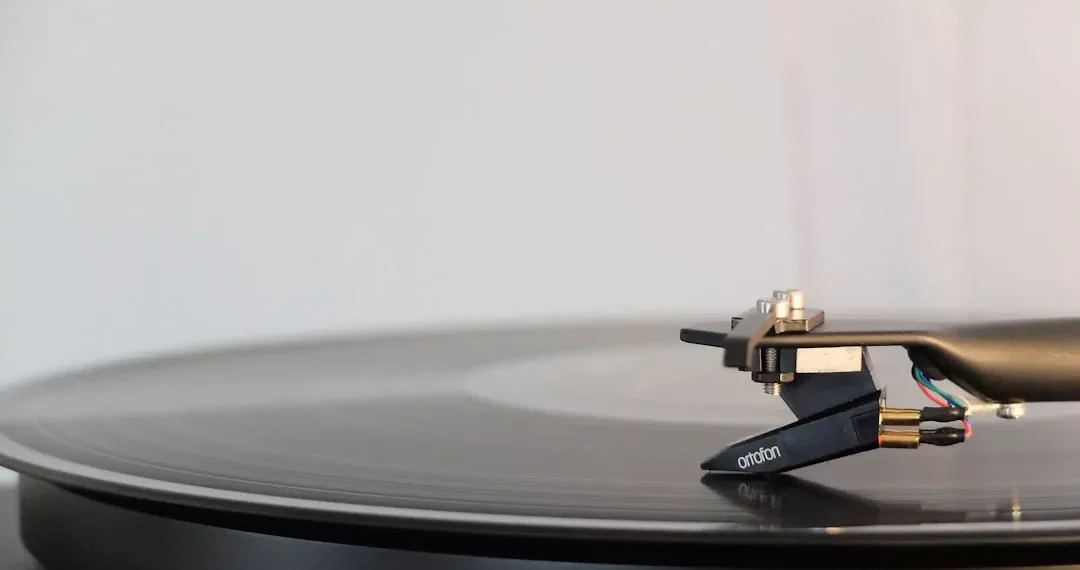 “La música: expresión y conexión en 10 palabras”