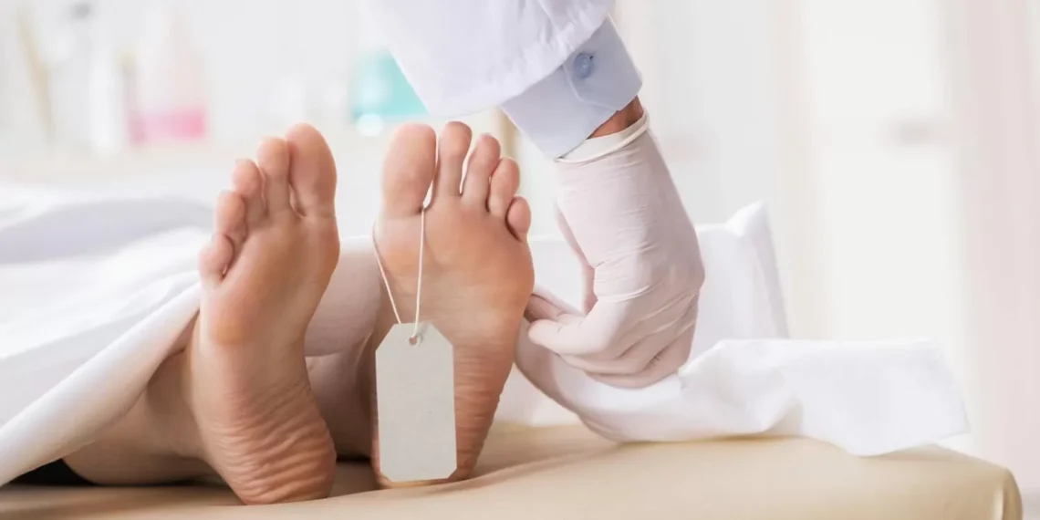 Las 5 causas más comunes de muerte según la Organización Mundial de la vitalidad