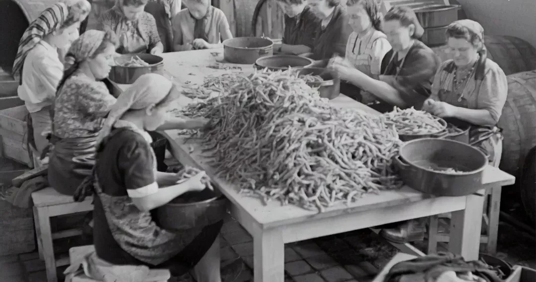 “Descubriendo la : Una Guía para Todos”