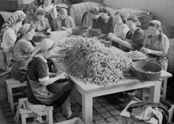 “Descubriendo la : Una Guía para Todos”