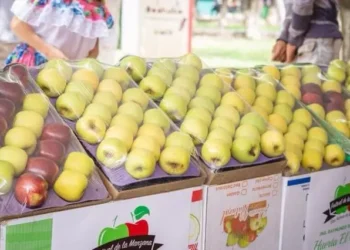 Esperan mejorar la producción de manzana en Arteaga