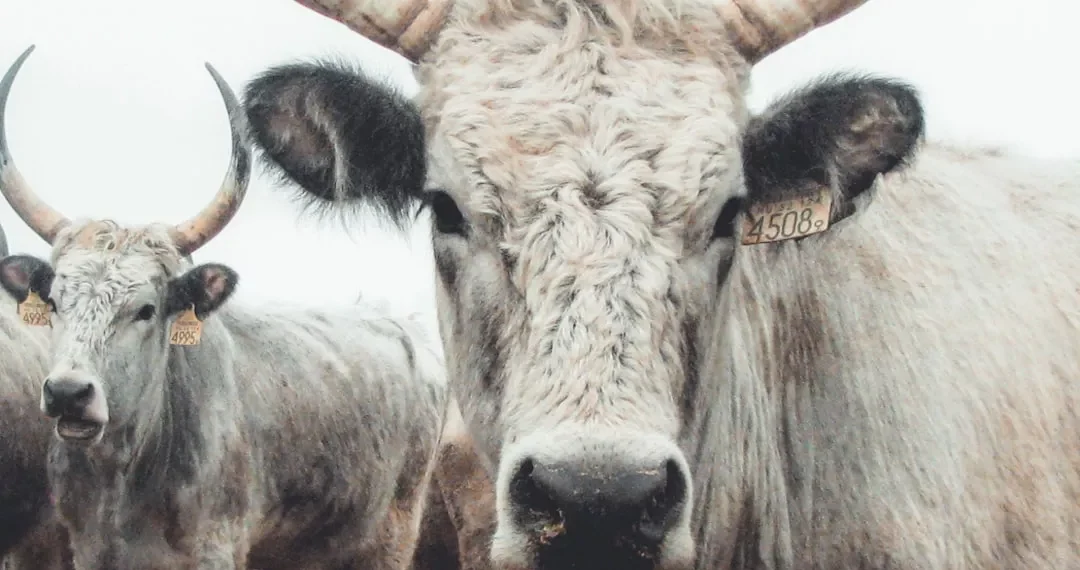 “La Economía: Motor del Desarrollo y Progreso en Sociedad”
