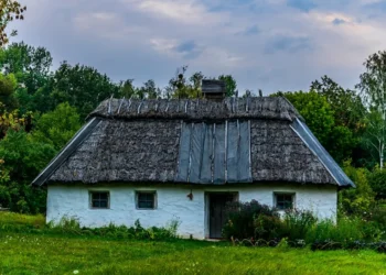 “La lucha contra la adversidad: Experiencias positivas de emprendedores”