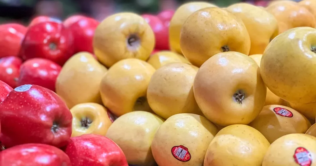 “La Economía: clave para el desarrollo y bienestar social”