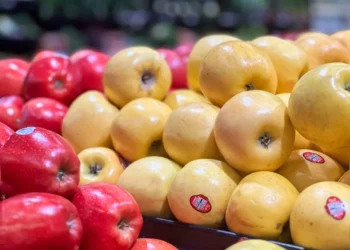 “La Economía: clave para el desarrollo y bienestar social”