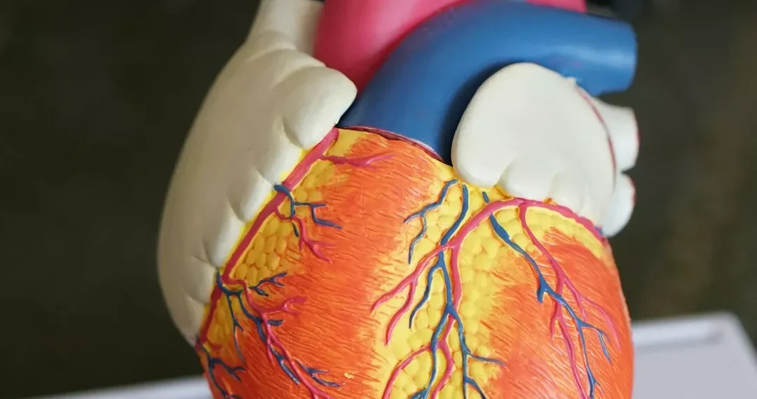 “Protegiendo nuestra salud mental en tiempos de pandemia”