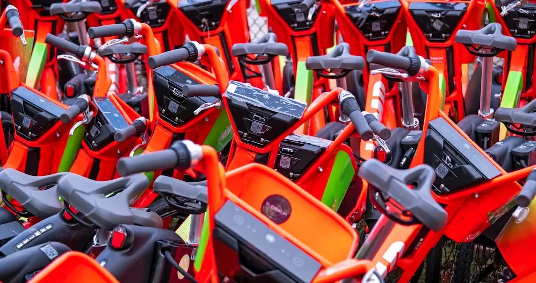 “La importancia de la economía en nuestra sociedad”