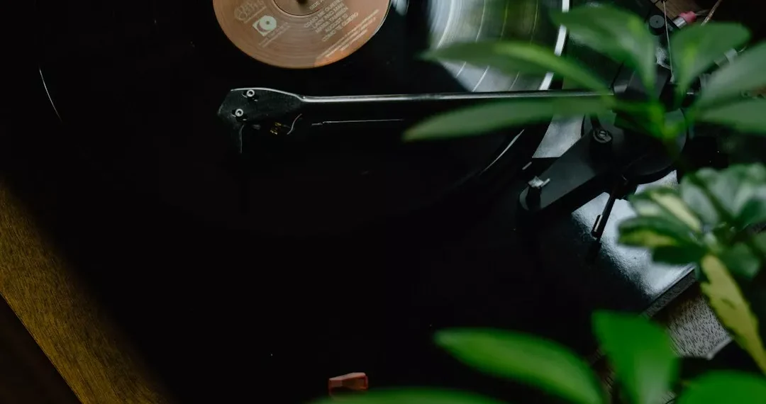 “La música: un arte que trasciende fronteras y emociones”