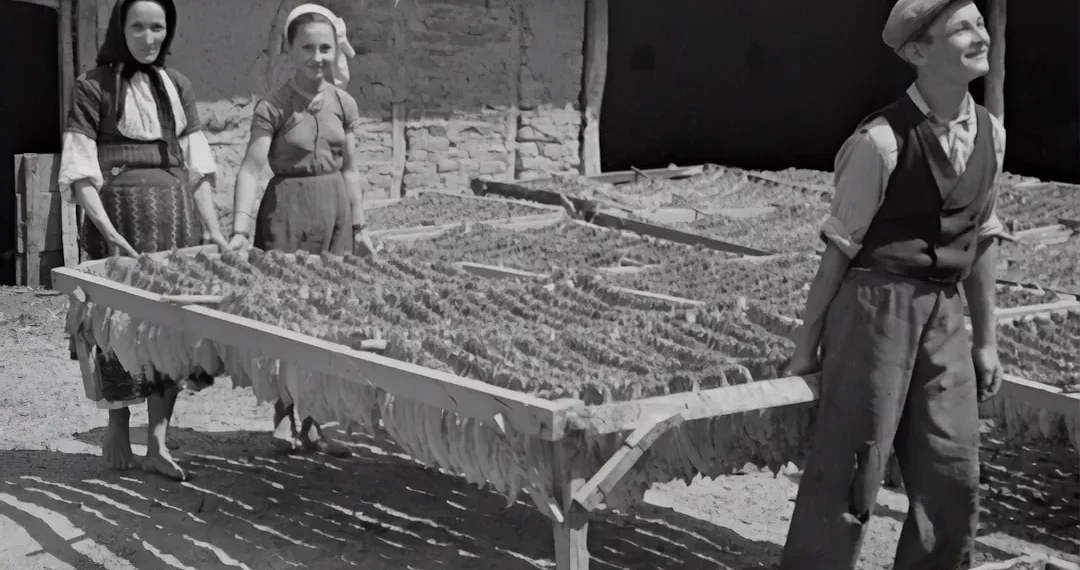 Cómo superar crisis económicas y alcanzar un crecimiento sostenible.